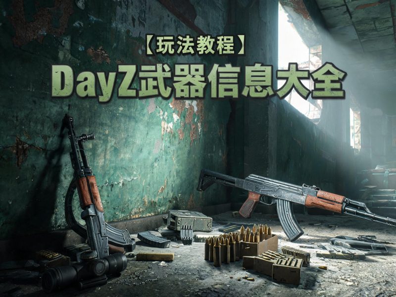 【玩法教程】DayZ武器信息大全（1.28版本）-讯唯工作室